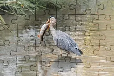 Imagem jigsaw puzzle