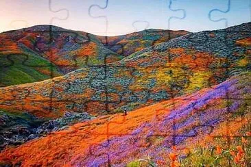 Valle de las Flores jigsaw puzzle