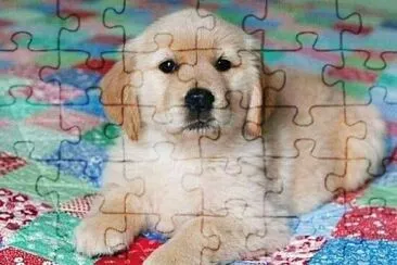  jigsaw puzzle