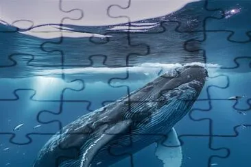 BALLENA jigsaw puzzle