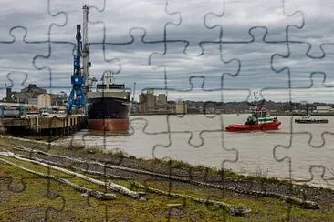 Le Port de Bayonne jigsaw puzzle