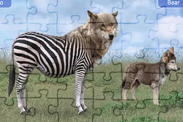 Zebra Grey Wolf jigsaw puzzle