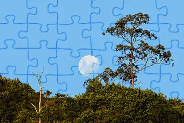 imagem jigsaw puzzle