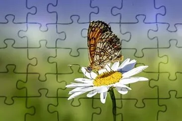 Imagem jigsaw puzzle