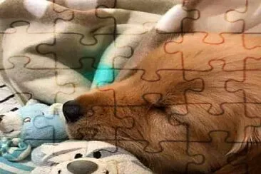 perro jigsaw puzzle