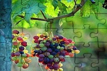 alimentos jigsaw puzzle