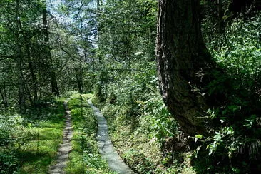 Suonen Baltschiedertal Schweiz