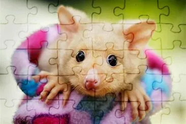 Bebe possum jigsaw puzzle