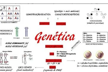 conceitos genetica jigsaw puzzle