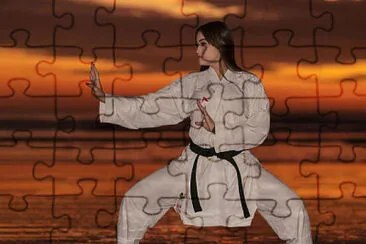 Karate jigsaw puzzle