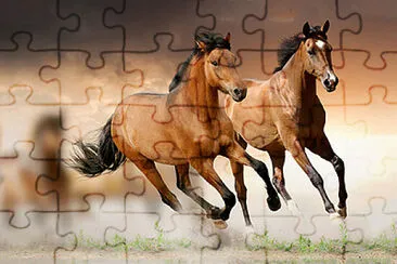 סוס jigsaw puzzle