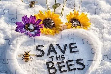 Save the Bees