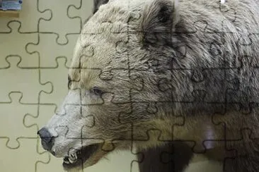 Bear  's Head jigsaw puzzle