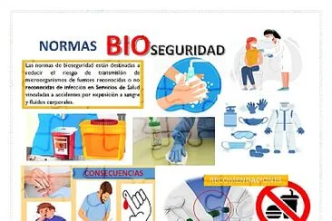 פאזל של bioseguridad