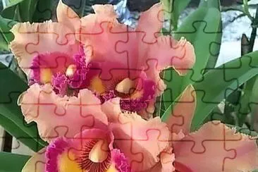 imagem jigsaw puzzle