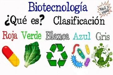 tipos de biotecnología jigsaw puzzle