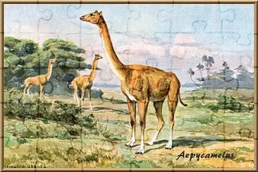 Aepycamelus jigsaw puzzle