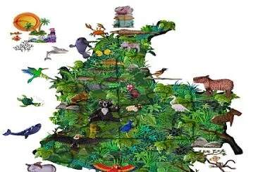 biodiversidad colombia jigsaw puzzle