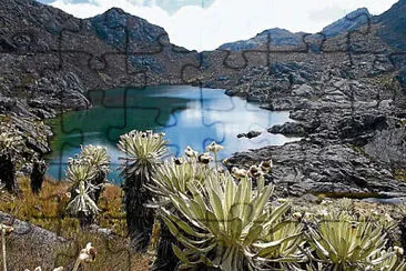 Páramo de Sumapaz jigsaw puzzle