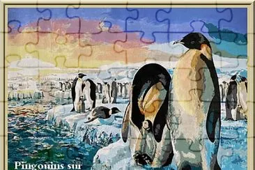 Pingouins sur la banquise jigsaw puzzle