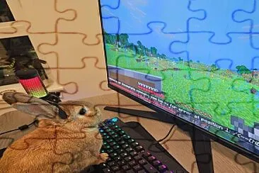 Gaming bunny