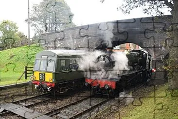 DMU and Betton Grange at Holt NNR