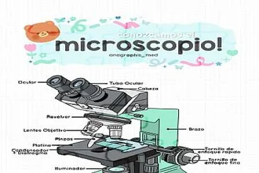 Microscopio jigsaw puzzle