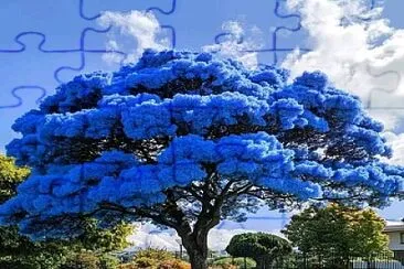 imagem jigsaw puzzle