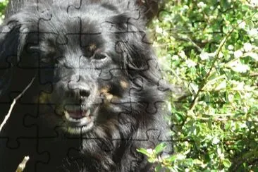 belle ma lilou jigsaw puzzle