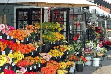 flower market