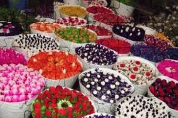 Flower Market 2