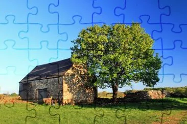 Barn and tree