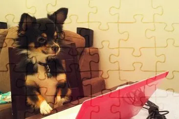 Nick e cia jigsaw puzzle