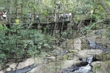 Trilha em São Roque - SP jigsaw puzzle