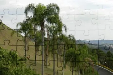 A caminho de São Roque - SP jigsaw puzzle