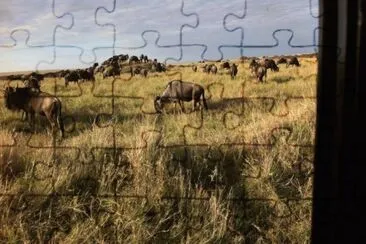 Gnus jigsaw puzzle