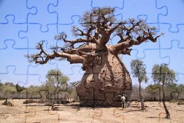 Baobas jigsaw puzzle