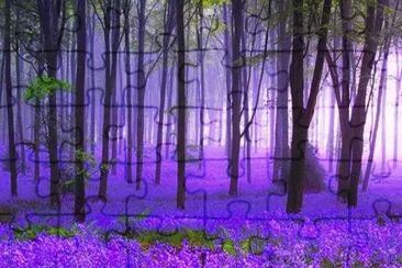 foret violette