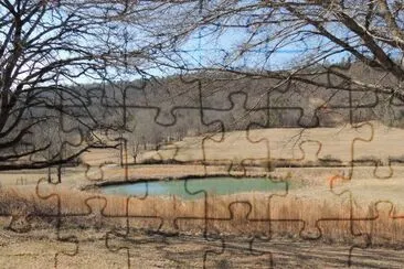 Country Pond jigsaw puzzle