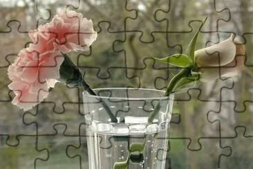 Flowers jigsaw puzzle