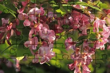 Blooms jigsaw puzzle