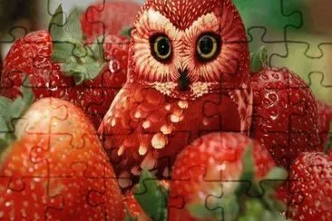 hibou fraise