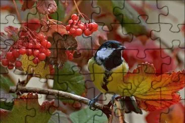 oiseau en automne jigsaw puzzle