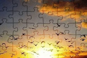 e jigsaw puzzle