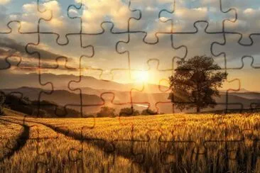 entardecer jigsaw puzzle