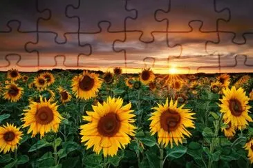 Sunset jigsaw puzzle