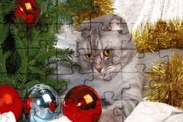 Katze mit Weihnachtskugeln