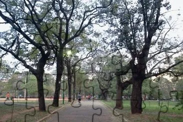 Parque Carlos A Lopez