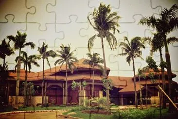 coconut palace jigsaw puzzle