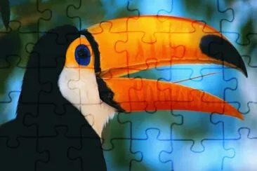 arara jigsaw puzzle